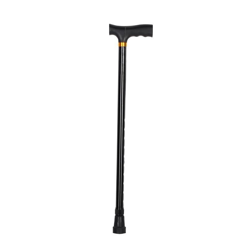 Walking Stick